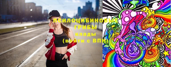 трава Осинники