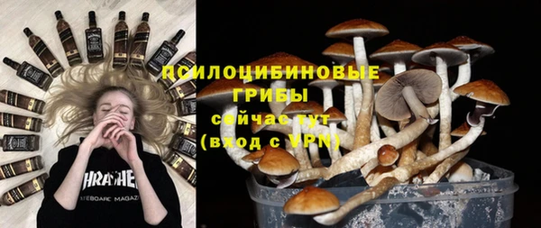 хмурый Абинск